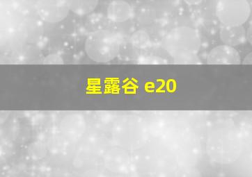 星露谷 e20